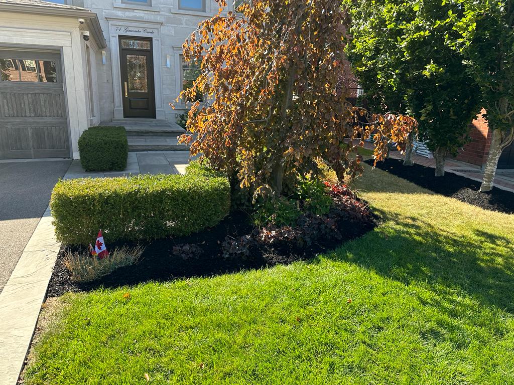 Featured KCL landscaping project