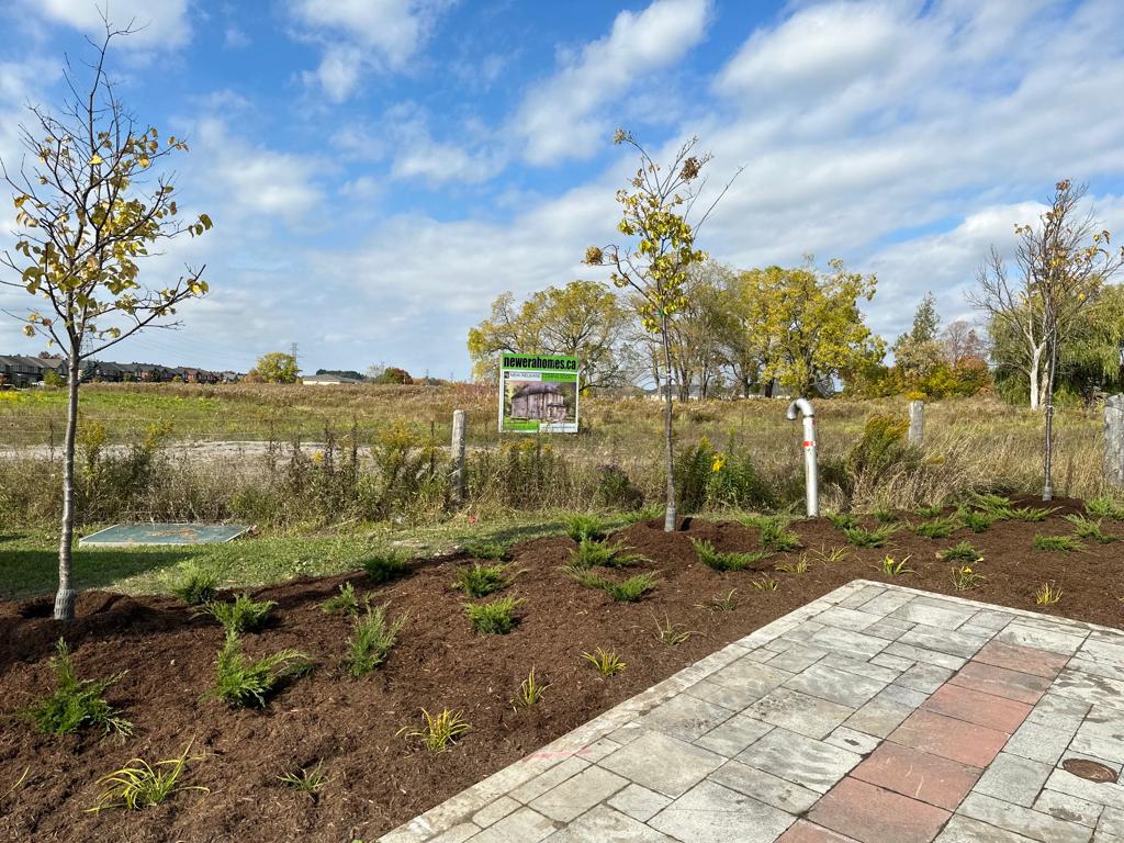 Commercial landscaping project