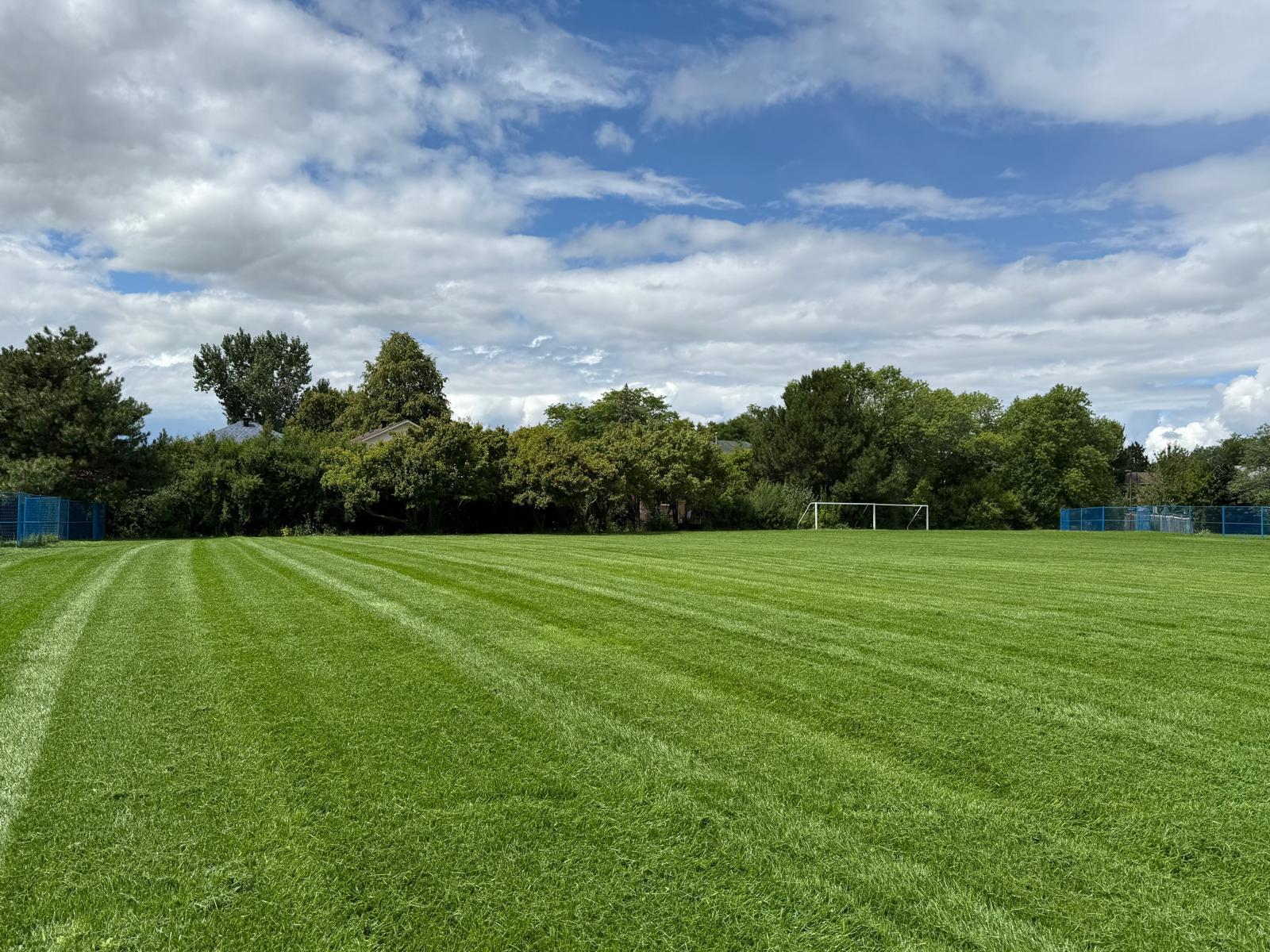 Lawn cutting project 1