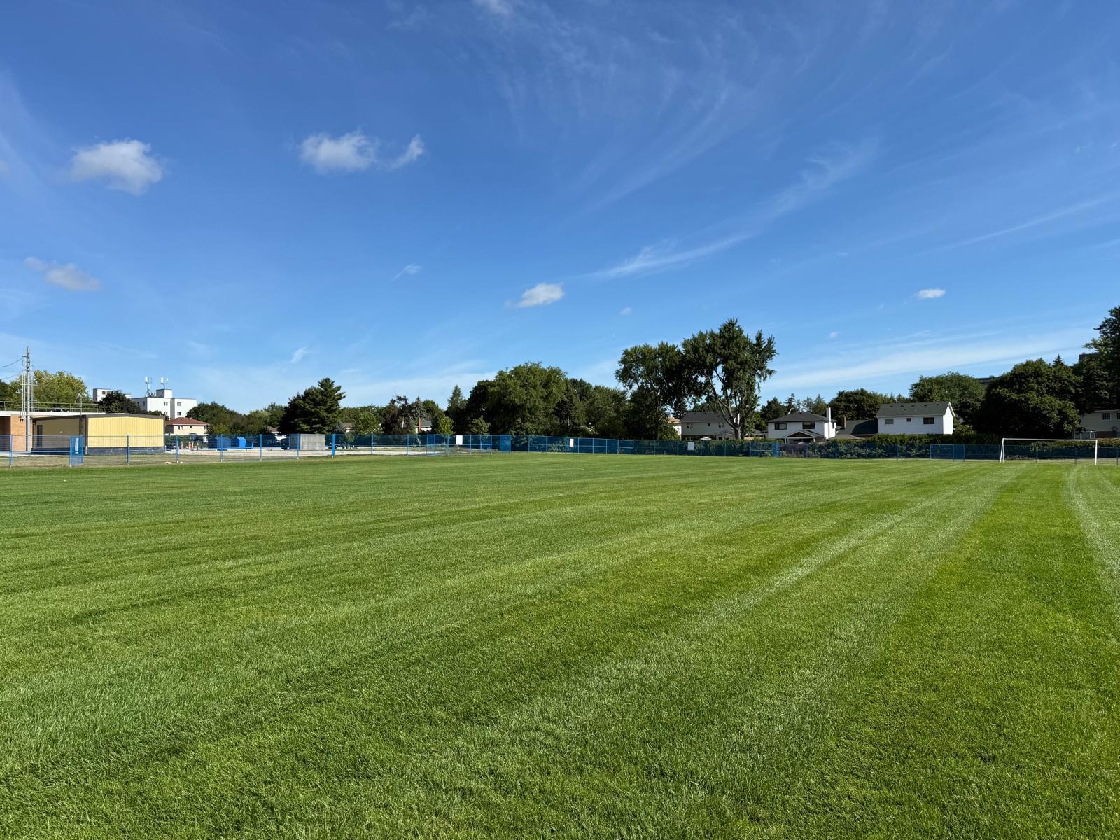 Lawn cutting project 2