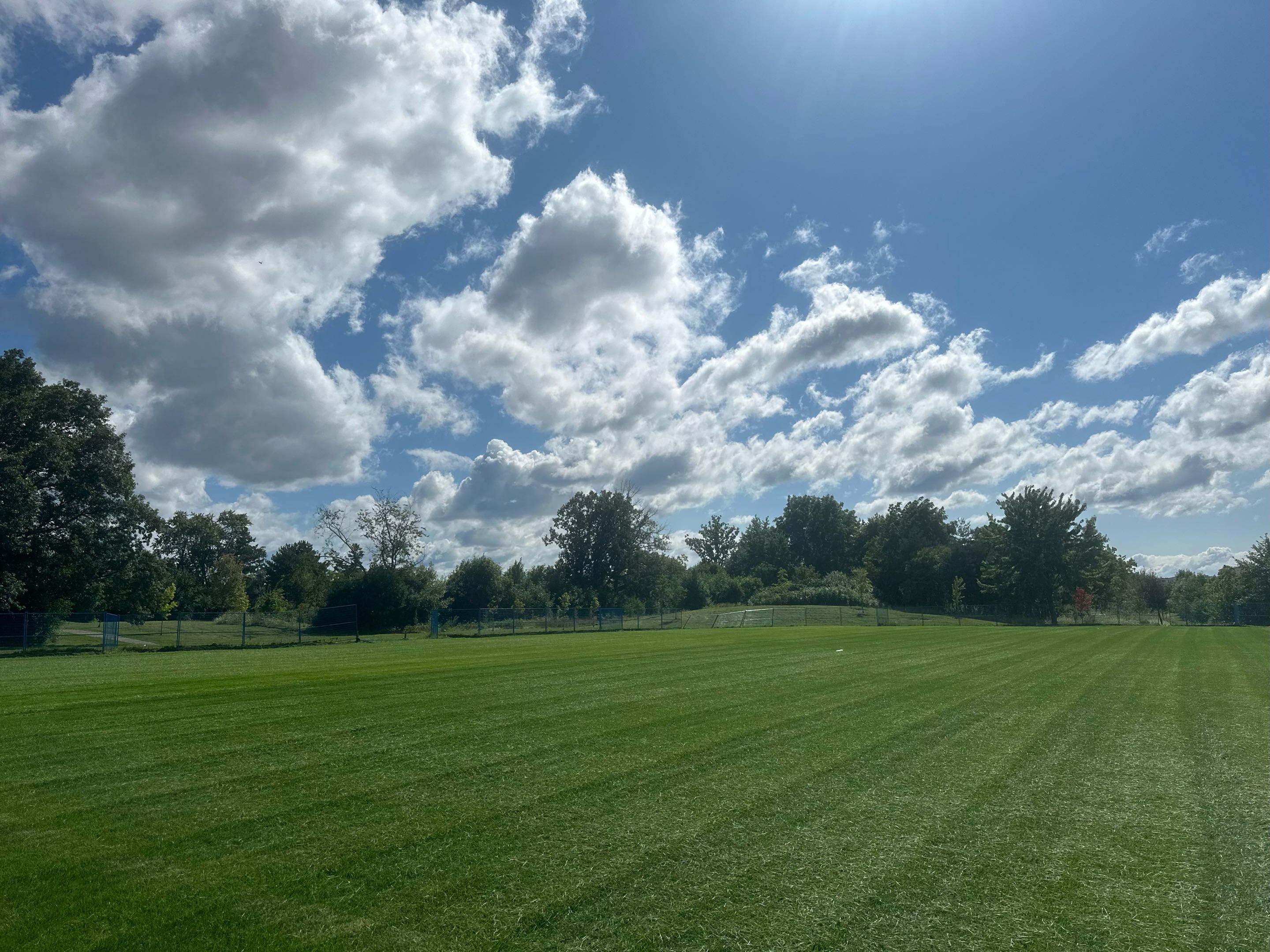 Lawn cutting project 5