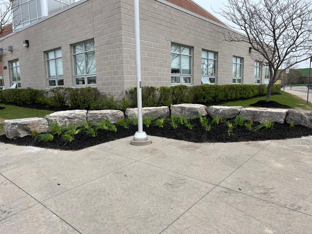 Mulch and planting project 1
