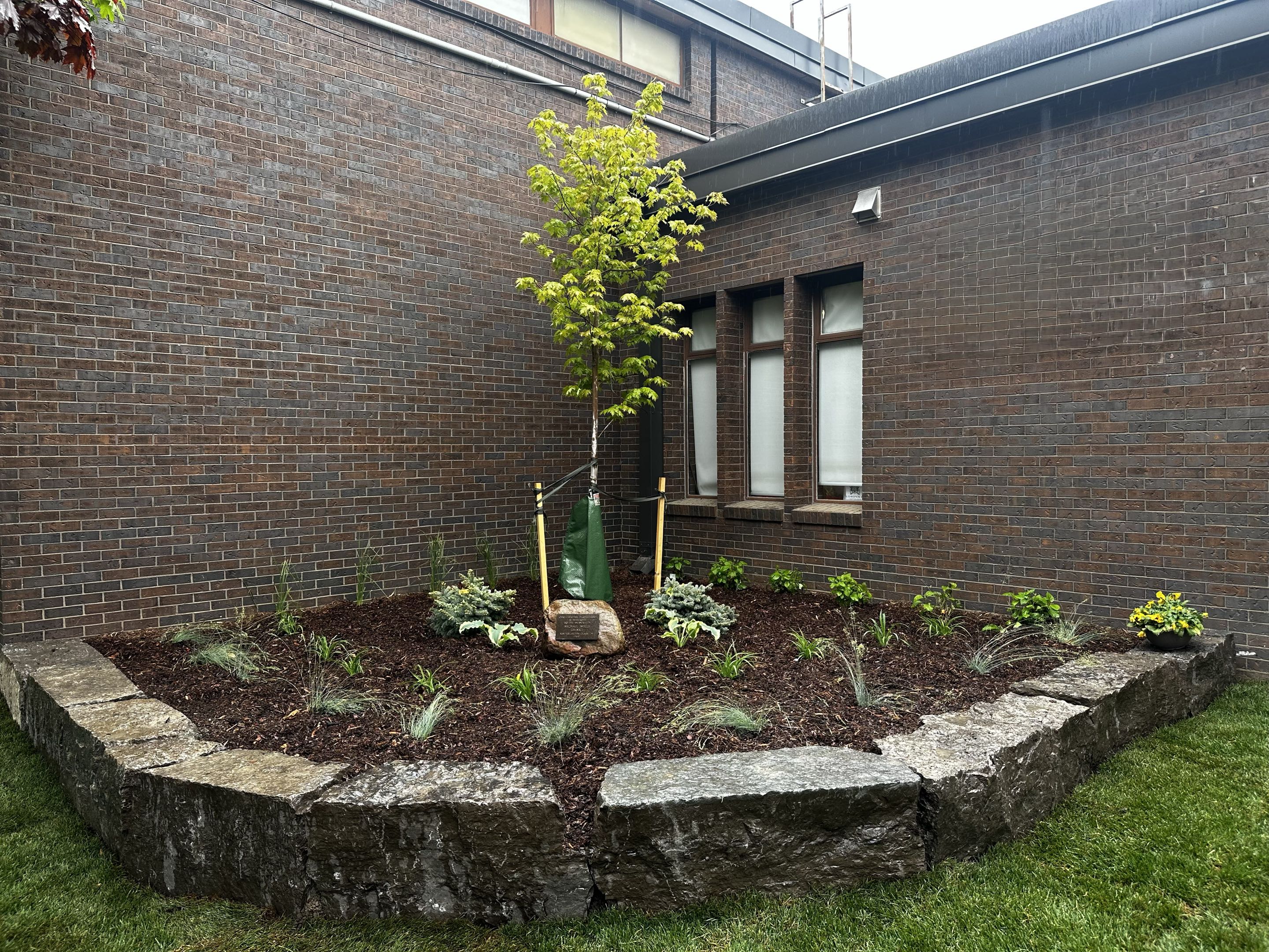 Mulch and planting project 14