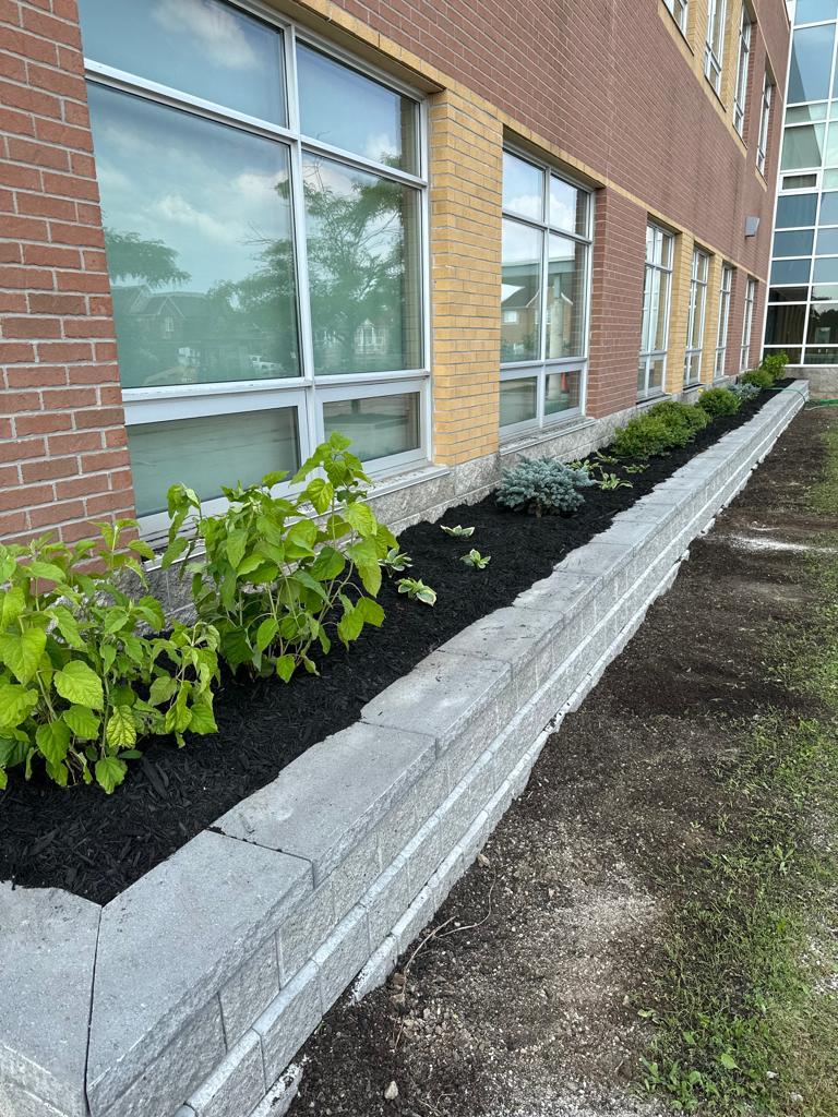 Mulch planting and armor stone project 4