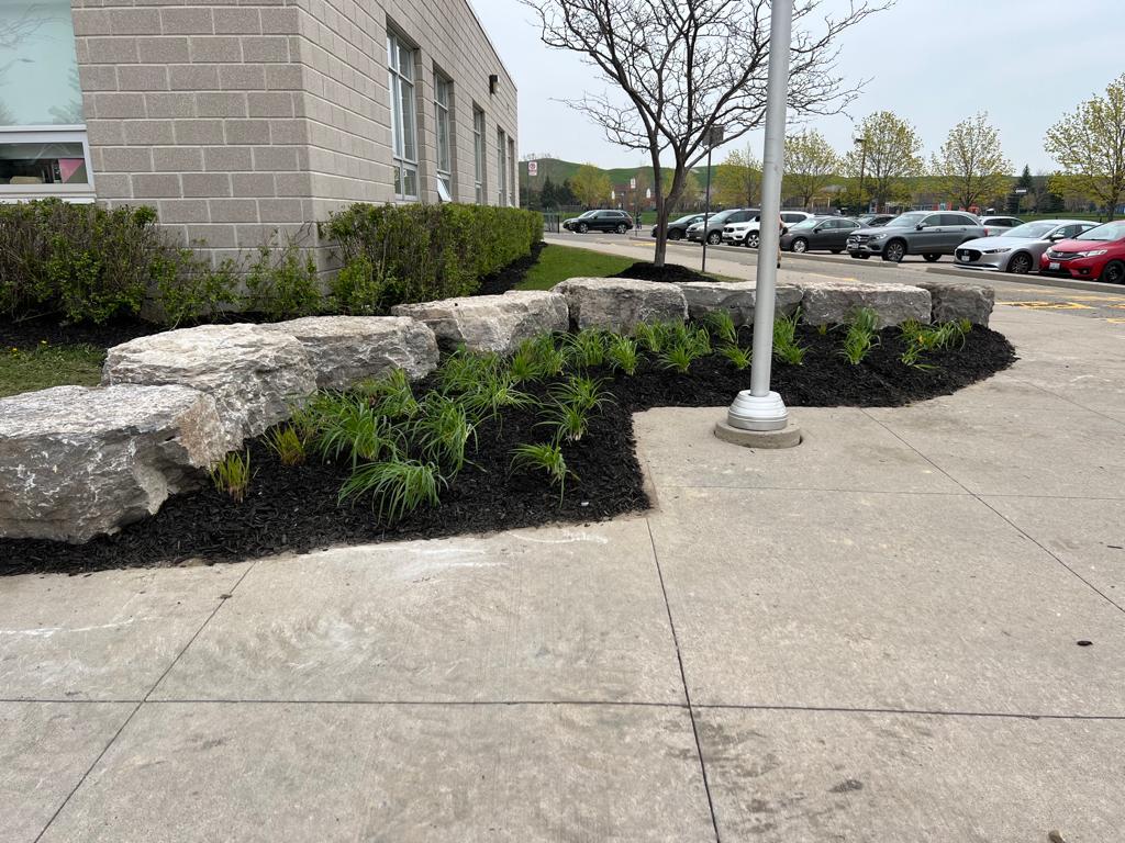 Mulch planting and armor stone project 8