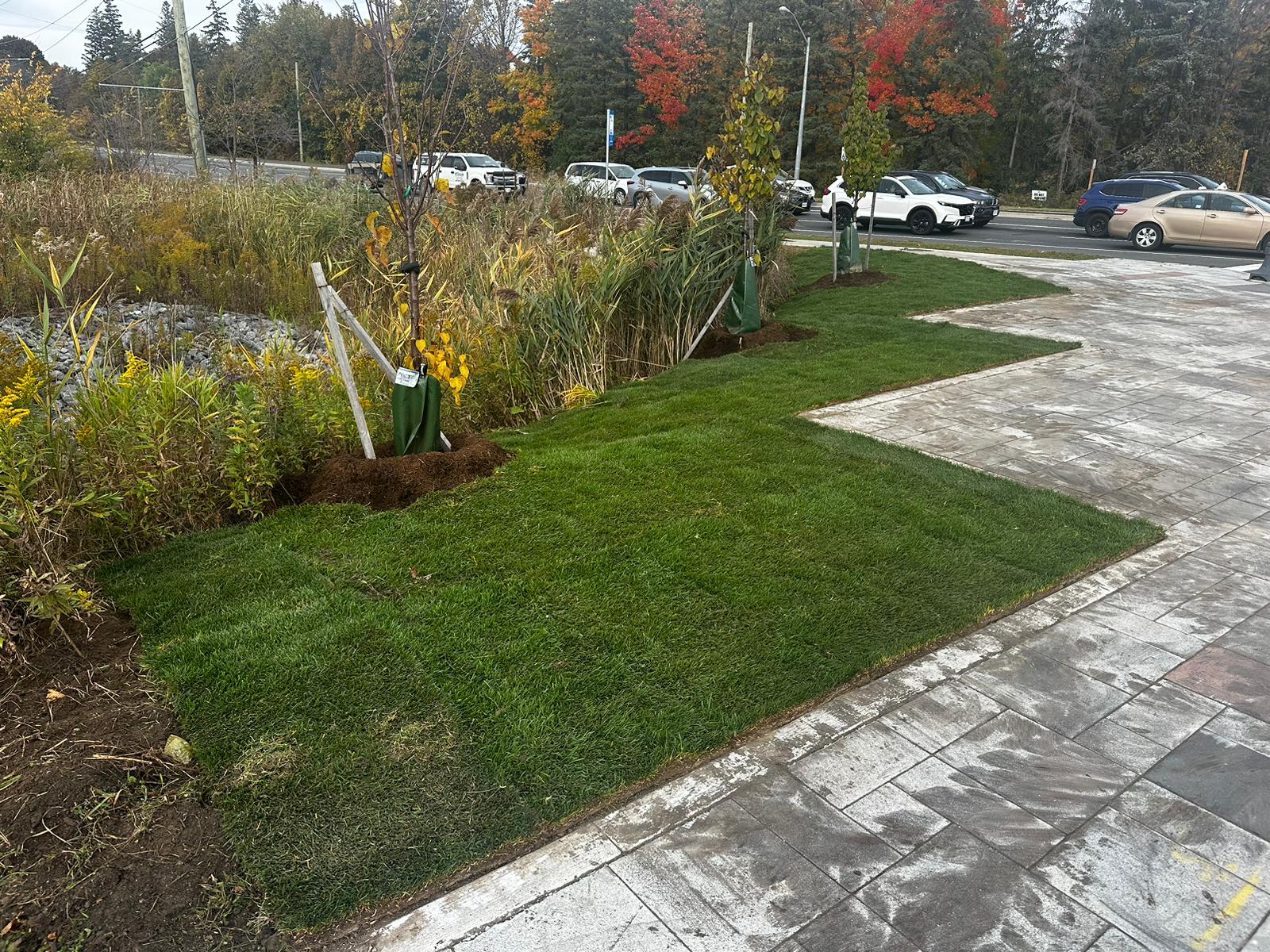 Sod job project 1
