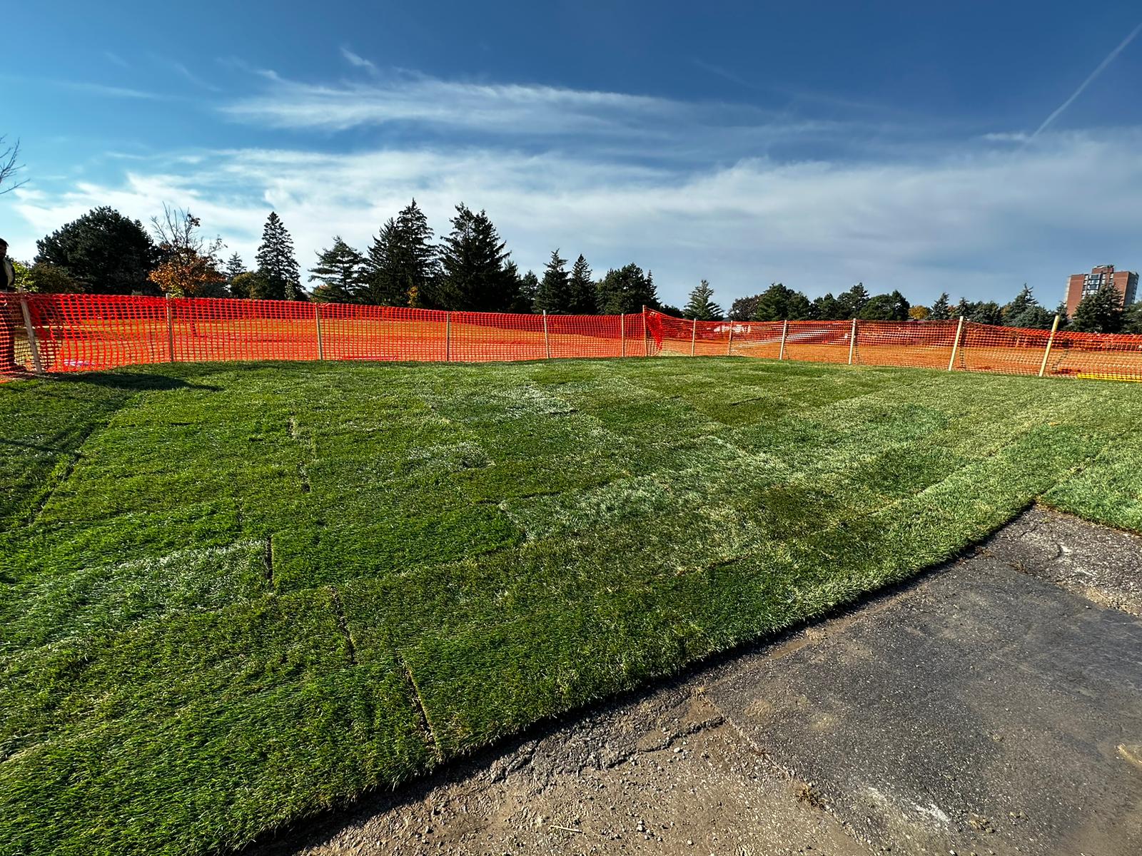 Sod job project 3